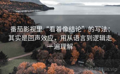番茄影视里“看着像结论”的写法：其实是回声效应，用从语言到逻辑走一遍理解