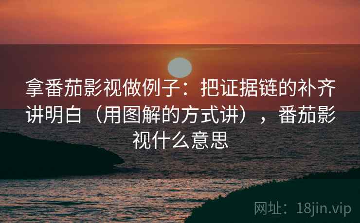拿番茄影视做例子：把证据链的补齐讲明白（用图解的方式讲），番茄影视什么意思