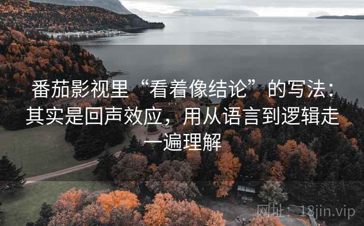 番茄影视里“看着像结论”的写法：其实是回声效应，用从语言到逻辑走一遍理解
